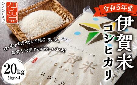 令和5年産 伊賀米コシヒカリ 20kg（5kg×4） | 三重県伊賀市 | ふるさと