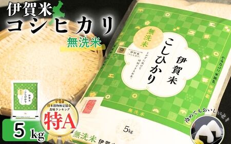 令和7年産 無洗米 伊賀米コシヒカリ 5kg【jaig0004】 | 三重県伊賀市 