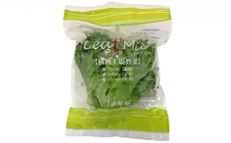 Leaf Mie(完全人工光型植物工場レタス)