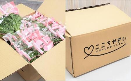 アノレタス（リーフレタス）新鮮シャキシャキ 栽培期間中無農薬低カリウムレタス 24袋セット