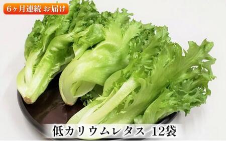 アノレタス（リーフレタス）新鮮シャキシャキ 栽培期間中無農薬低カリウムレタス 12袋×6ヶ月連続お届けセット