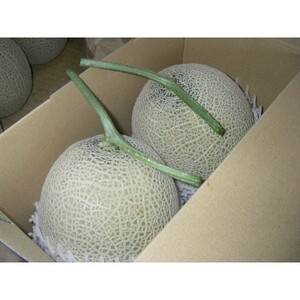 木曽岬産マスクメロン　2玉(1玉1.5kg以上)　令和8年7月1日から発送【1259090】