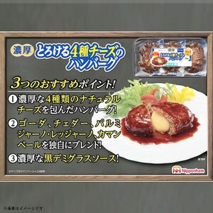 濃厚 とろける 4種 チーズ ハンバーグ 3個入り x 6パック 計18個 小分 三重 加工品 弁当【配送不可地域：離島】【1496728】