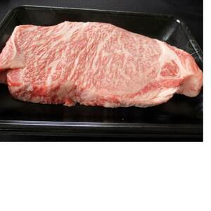 三重県産　伊勢水沢牛ロース厚切りステーキ　500g【UF-022】【配送不可地域：離島】【1311018】 10,500円