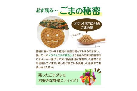 惣菜 オクラ ごま和え 冷凍 100g × 10個 ヤマダイ食品株式会社《30日以内に発送予定(土日祝除く)》三重県 東員町 おくら ごま 胡麻 和え おかず 小鉢