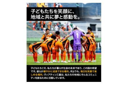 雑貨 小物 キーリング 1個 ヴィアティン三重 Jリーグ クラブ《30日以内に発送予定(土日祝除く)》スポーツ ギフト サッカー 三重県 東員町 送料無料