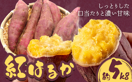 【2026年先行予約】さつまいも 紅はるか 約5kg 株式会社シグマサポート《2026年10月中旬-12月中旬頃出荷予定(土日祝除く)》さつまいも 