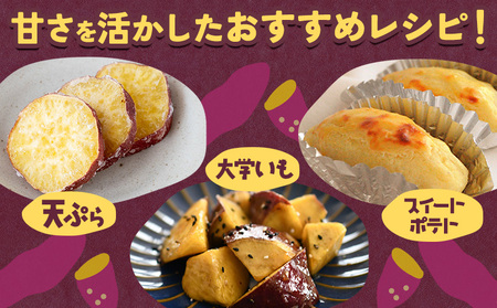 【2026年先行予約】さつまいも 紅はるか 約5kg 株式会社シグマサポート《2026年10月中旬-12月中旬頃出荷予定(土日祝除く)》さつまいも 