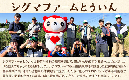 【2026年先行予約】訳あり さつまいも 紅はるか 約5kg 株式会社シグマサポート《2026年10月中旬-12月中旬頃出荷予定(土日祝除く)》さつまいも