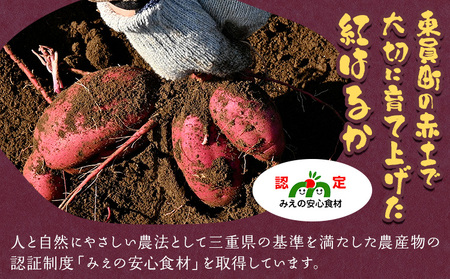 【2026年先行予約】訳あり さつまいも 紅はるか 約5kg 株式会社シグマサポート《2026年10月中旬-12月中旬頃出荷予定(土日祝除く)》さつまいも