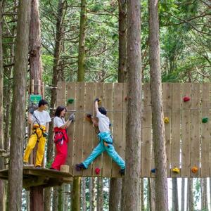 オドルの森 アドベンチャーコース 1名様利用券【1269363】