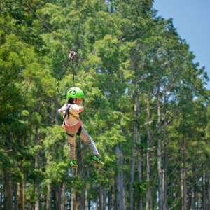 オドルの森 ジップトリップコース1名様利用券【1271981】