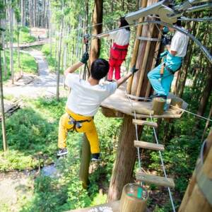 オドルの森 ジップトリップコース1名様利用券【1271981】