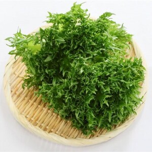 カリウムが気になる方へ!生で食べられます!低カリウム野菜「Dr,ULHA」おすすめ10袋セット【配送不可地域：離島】【1314826】