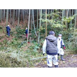 朝日町の里山から届く 朝掘りたけのこ 4kg【配送不可地域:離島】【1694766】