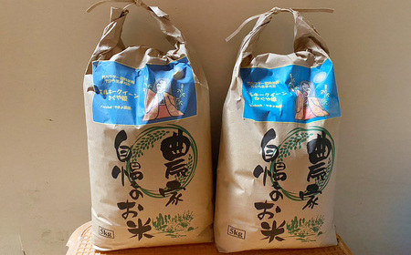 【令和６年産米】竹で育てた減農薬ミルキークイーン 10kg（5kg×2） YN‐01-2024