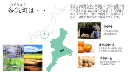 KH-12 ホッとひと息　伊勢茶ティーバッグ　ほうじ茶2g×100個セット