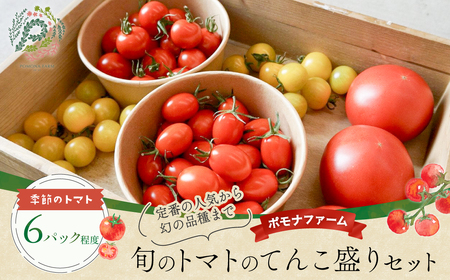 旬のトマトのてんこ盛りセット トマト とまと 完熟トマト ミニトマト 大玉トマト ファーストトマト セット 詰め合わせ リコピン 薄皮 野菜 ベジタブル 果物 完熟 美味しい 新鮮 やさい フルーツ サラダ 三重県 多気町 PF-011