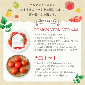 旬のトマトのてんこ盛りセット トマト とまと 完熟トマト ミニトマト 大玉トマト ファーストトマト セット 詰め合わせ リコピン 薄皮 野菜 ベジタブル 果物 完熟 美味しい 新鮮 やさい フルーツ サラダ 三重県 多気町 PF-011