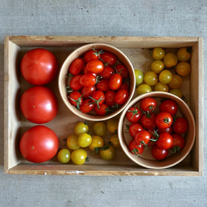 旬のトマトのてんこ盛りセット トマト とまと 完熟トマト ミニトマト 大玉トマト ファーストトマト セット 詰め合わせ リコピン 薄皮 野菜 ベジタブル 果物 完熟 美味しい 新鮮 やさい フルーツ サラダ 三重県 多気町 PF-011