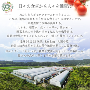 旬のトマトのてんこ盛りセット トマト とまと 完熟トマト ミニトマト 大玉トマト ファーストトマト セット 詰め合わせ リコピン 薄皮 野菜 ベジタブル 果物 完熟 美味しい 新鮮 やさい フルーツ サラダ 三重県 多気町 PF-011