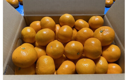 SN-02 三重県多気町産 みかん S~2Lサイズ 5kg