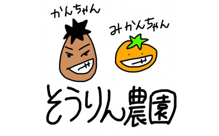 SN-02 三重県多気町産 みかん S~2Lサイズ 5kg