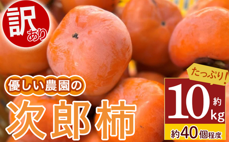 令和7年産柿/先行予約】優しい農園の訳あり次郎柿 10kg 次郎柿 たねなし 柿 かき フルーツ 家庭用 訳あり 規格外 わけあり 不揃い ふぞろい 種なし 干し柿 先行 先行予約 三重県 多気町 YSN-01