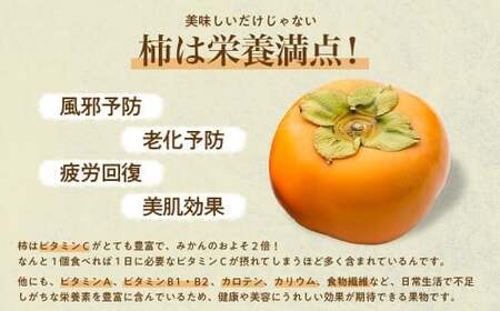 令和7年産柿/先行予約】優しい農園の訳あり次郎柿 10kg 次郎柿 たねなし 柿 かき フルーツ 家庭用 訳あり 規格外 わけあり 不揃い ふぞろい 種なし 干し柿 先行 先行予約 三重県 多気町 YSN-01