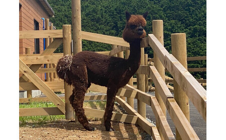 DP-02　どうぶつパーク親子入園券（特典付き）