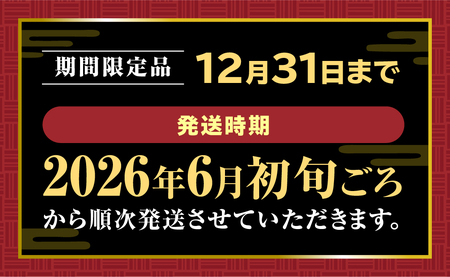 【12月末受付終了】松阪牛 サーロインステーキ 約200ｇ×1枚【2026年6月より順次発送】国産松坂牛 三重県 多気町 SS-106