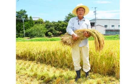 【令和7年産】先行予約 新米 コシヒカリ 10㎏ ( 5kg ×2 ) 農家直送 こしひかり お米 米 こめ コメ 10キロ 精米 令和7年度 先行 予約 NE-02