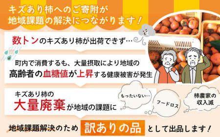 【令和7年産柿/先行予約】《 訳あり 》5㎏ 次郎柿 たねなし 柿 かき フルーツ 家庭用 訳あり 規格外 わけあり 不揃い ふぞろい 種なし 干し柿 先行 先行予約 三重県 多気町 GF-17