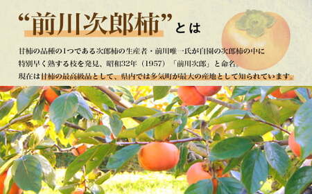 【令和7年産柿/先行予約】《 訳あり 》5㎏ 次郎柿 たねなし 柿 かき フルーツ 家庭用 訳あり 規格外 わけあり 不揃い ふぞろい 種なし 干し柿 先行 先行予約 三重県 多気町 GF-17