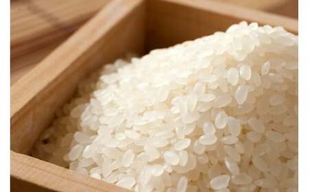 【令和7年産】【10月発送予定】先行予約 新米 ミルキークイーン 10kg ( 5kg × 2 ) 農家直送 ミルキークイーン お米 米 こめ コメ 10キロ ミルキークイーン 精米 令和7年度 ミルキークイーン 先行 予約 ミルキークイーン 三重県 多気町 OKN-03-1