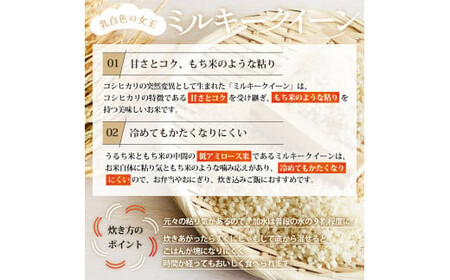 【令和7年産】【10月発送予定】先行予約 新米 ミルキークイーン 10kg ( 5kg × 2 ) 農家直送 ミルキークイーン お米 米 こめ コメ 10キロ ミルキークイーン 精米 令和7年度 ミルキークイーン 先行 予約 ミルキークイーン 三重県 多気町 OKN-03-1