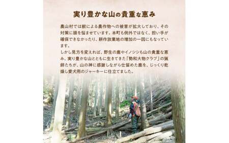 愛犬用 伊勢の鹿 ジャーキー レギュラーセット 40g×3 ペット ペットフード 犬 おやつ 犬のおやつ 犬用 三重県 多気町 PB-01