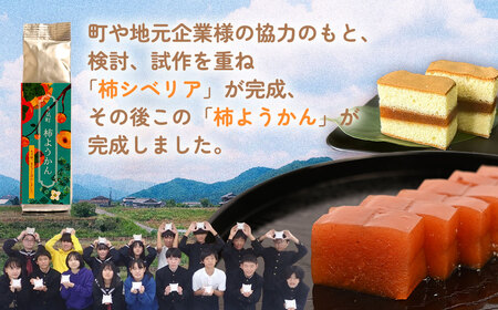 キズ柿をつかった柿ようかん 10個入り gf-18