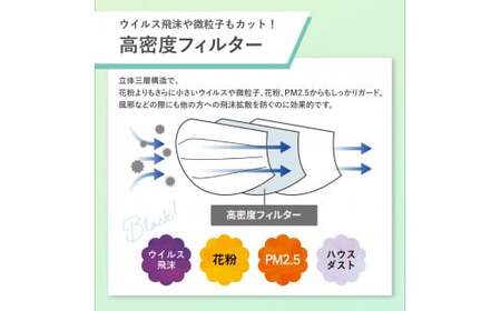 【定期便】シャープ製 抗菌タイプ 不織布マスク ふつう サイズ 30枚入×12回 計360枚 日本製 国産 シャープ  SH-2012