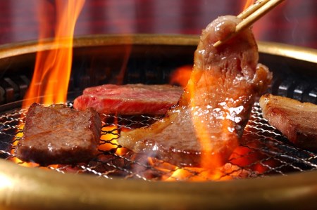 松阪牛 特選ロース 焼き肉 500g 国産牛 和牛 ブランド牛 JGAP家畜・畜産物 農場HACCP認証農場 牛肉 肉 高級 人気 おすすめ 神戸牛 近江牛 に並ぶ 日本三大和牛 松阪 松坂牛 松坂 ロース ロース肉 焼肉 バーベキュー 冷凍 三重県 多気町 SS-29