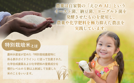 【1月発送予定】令和7年産新米 特別栽培米 循環型農業で作った「にじのきらめき」10kg (5kg×2) 国産新米 三重県 多気町 TC-0613
