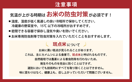 【3月発送予定】令和7年産新米 特別栽培米 循環型農業で作った「にじのきらめき」10kg (5kg×2) 国産新米 三重県 多気町 TC-0615