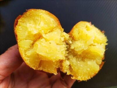 【訳あり】栽培期間中 無農薬 さつまいも （紅はるか）