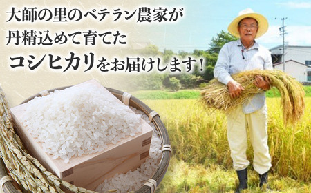 コシヒカリ 10kg 令和7年産 白米 コシヒカリ 三重県