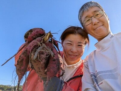 農薬・化学肥料 不使用 さつまいも (紅はるか)