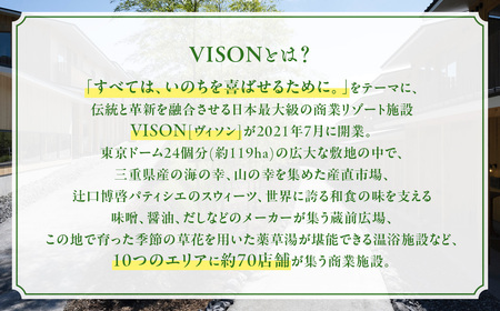 日本最大級の商業リゾート VISON 施設利用券 9,000円分