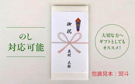 日本最大級の商業リゾート VISON 施設利用券 90,000円分
