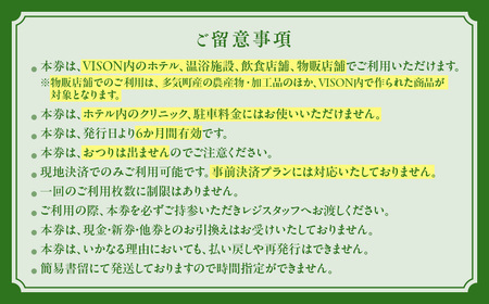 日本最大級の商業リゾート VISON 施設利用券 270,000円分