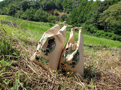 令和7年産コシヒカリ精米10kg| コシヒカリ ご飯 白米 多気町 三重県 近畿