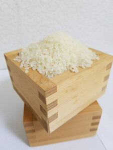 令和7年産コシヒカリ精米10kg| コシヒカリ ご飯 白米 多気町 三重県 近畿